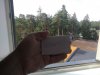2018-07-23 08-31-41.jpg