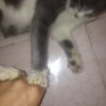 piero