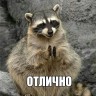 Yasminowex