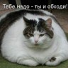 Meltfnji