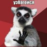 RenwikVogy