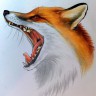 qessycxv