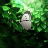 NeRus0977