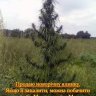 Евгенийновичок