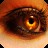 Alex_Saf