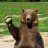 dmitry