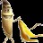 user55